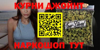 дмт Гатчина