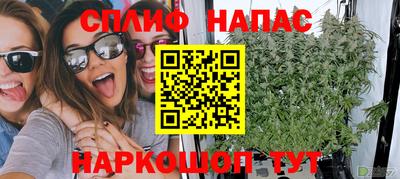 дмт Гатчина