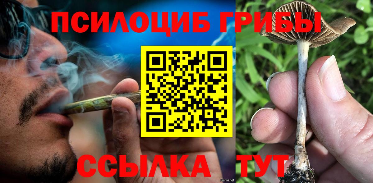 Галлюциногенные грибы прущие грибы  Вход с VPN  Канаш 